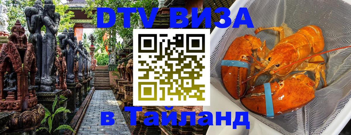 Оформление DTV визы под ключ: стоимость и тарифы, только загранпаспорт - 20.11.2025 